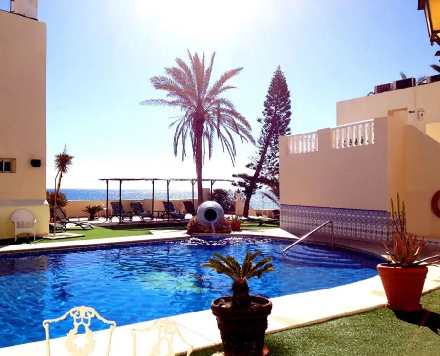 Piscina del hotel rodeada de palmeras junto al mar